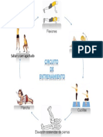 Presentación Circuito de Entrenamiento