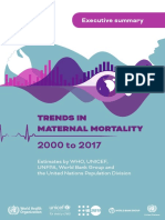 Trends in Maternal Mortality: Executive Summary
