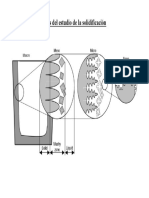 Estudios Escala de Solidf