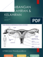 Perkembangan Prakelahiran Dan Kelahiran