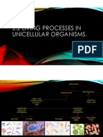 2.2 Living Processes in Unicellular Organisms