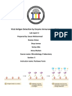 Viral Antigen Detection by Enzyme Immunoassay (EIA)