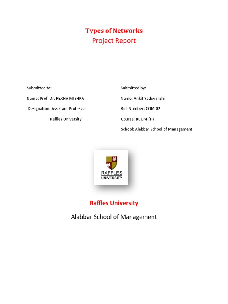 Project Report: Types of Networks | PDF
