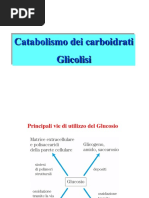 GLICOLISI_E_GLUCONEO
