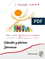 Subsidio y Novena Diocesana