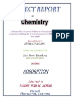 Adsorption Project for Class XII CBSE Board Exam