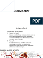 Fisvet - Sistem Saraf