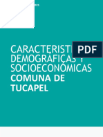 Tucapel Demografica-1