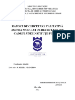 Raport de Cercetare Calitativă - Petruț Adela DMRU II