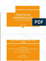 Praktikum Mikrobiologi Biomol