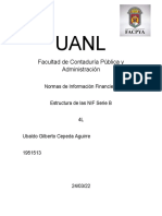 Estructura de Las Nif Serie B