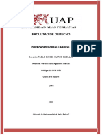 T. a. Derecho Procesal Laboral Garcia Luna Agustina M. - Copia - Copia - Copia