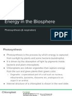 Energy in The Biosphere: Photosynthesis (& Respiration)