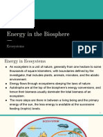 Energy in The Biosphere: Ecosystems