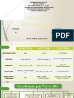 Blot Inmunología