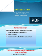 1-Endokrin Sistem Genel Bakis 1 Ve 1 Ders