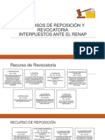 Recursos de Reposición y Revocatoria.