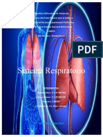 Sistema Respiratorio