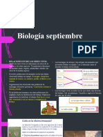 Relaciones entre seres vivos y cadenas alimenticias