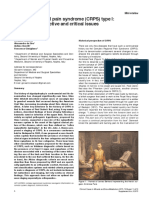 Complex Regional Pain Syndrome (CRPS) Type I: Historical Perspective and Critical Issues