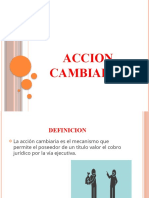 Diapositivas de Accion Cambiaria 1