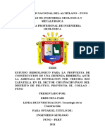 Universidad Nacional Del Altiplano