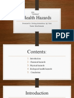 Health Hazards: Presented By: Bodrug Alexandrina, 9g1 Form