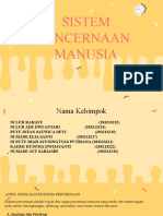 KLP 2 - PPT Sistem Pencernaan