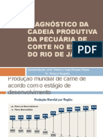 Apresentação: DIAGNÓSTICO DA CADEIA PRODUTIVA DA PECUÁRIA DE CORTE