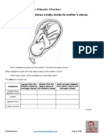 Q1. The Drawing Shows A Baby Inside Its Mother's Uterus