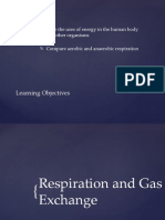 Respiration and Gas Exchange 11.1