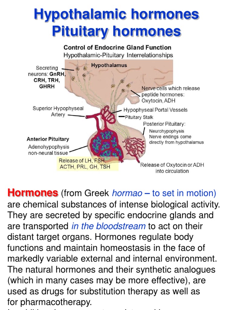 Pituitary Hormones Pdf _ Physiology of the Pituitary Hormone Secretion ...