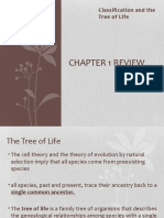 Chapter 1 Review: Classification and The Tree of Life