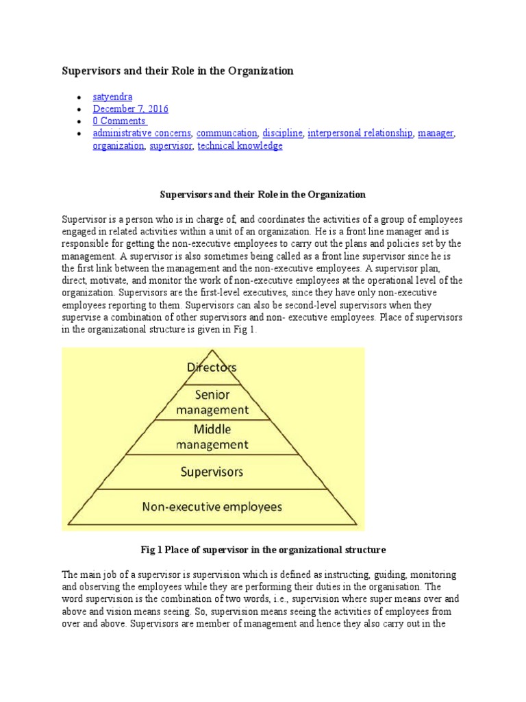 Supervisors and Their Role in The Organization | PDF