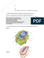 Examen Tema 5 Biología