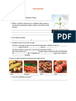 Teste Ciencias 6 Ano Fotossintese2