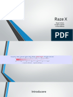 Raze X: Negoi Serban Draghici Gabriel Cernea Mihnea