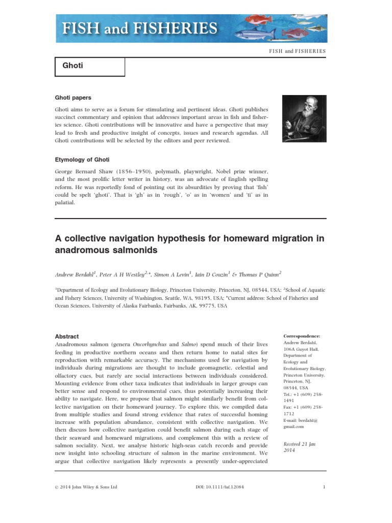 A Collective Navigation Hypothesis For Homeward Migration in Anadromous