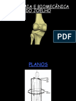 Aula de Anatomia e Biomecanica Do Joelho 1ppt