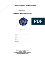Format laporan_transformasi