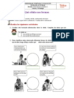 Qué Células Nos Forman: Realiza Las Siguientes Actividades