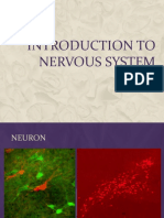 1.introduction To Nervous System 2021