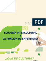 Ecología Intercultural y La Función de Enfermería