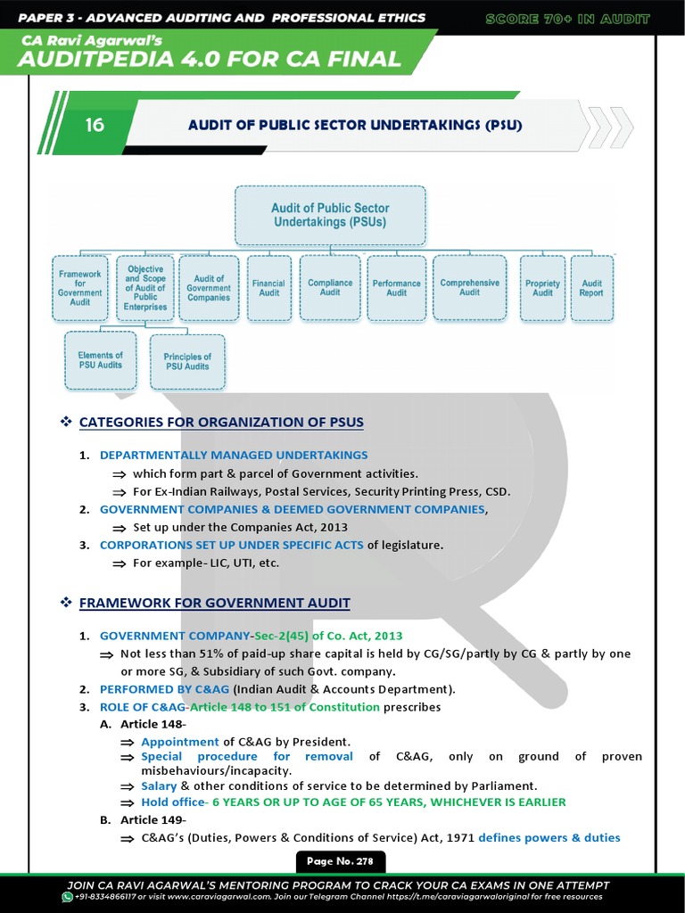 PSU Audit Framework and Objectives | PDF | Audit | Financial Audit