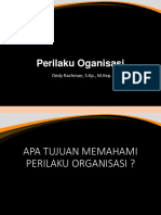 Perilku Organisasi