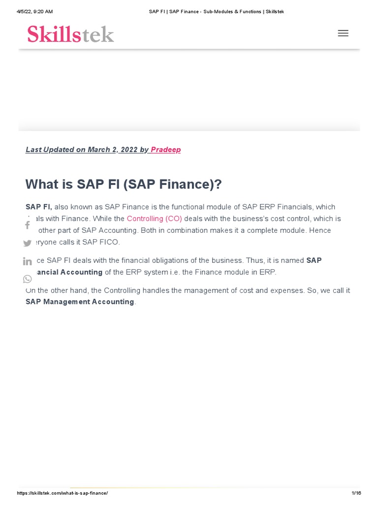 SAP FI - SAP Finance - Sub-Modules & Functions - Skillstek | PDF
