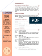 Curriculum Vitae2