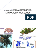 Identifikasi Makroskopik & Mikroskopik Pada Semen