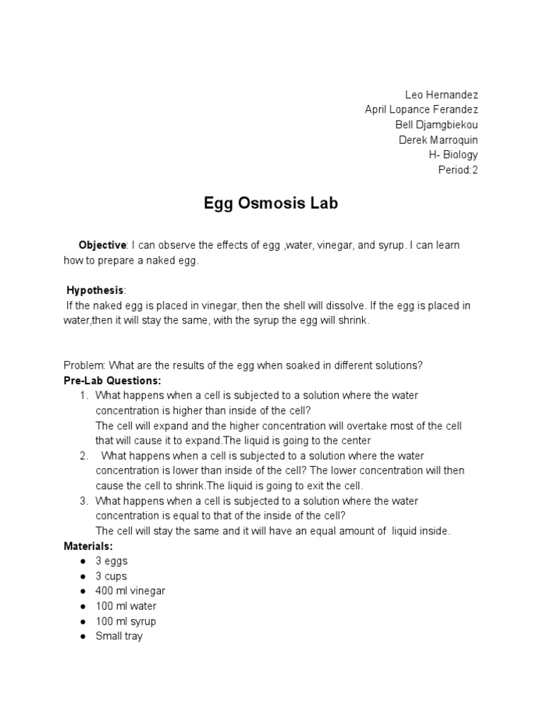 Egg Osmosis Lab 1 PDF Scientific Method Methodology
