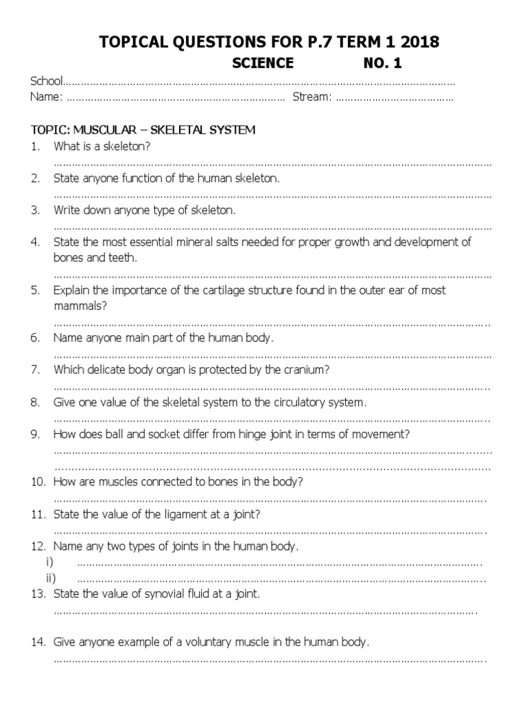 P7 Science Questions Term 1 2018 | PDF | Skeleton | Machines